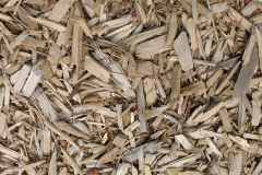 biomass boilers Pontsticill